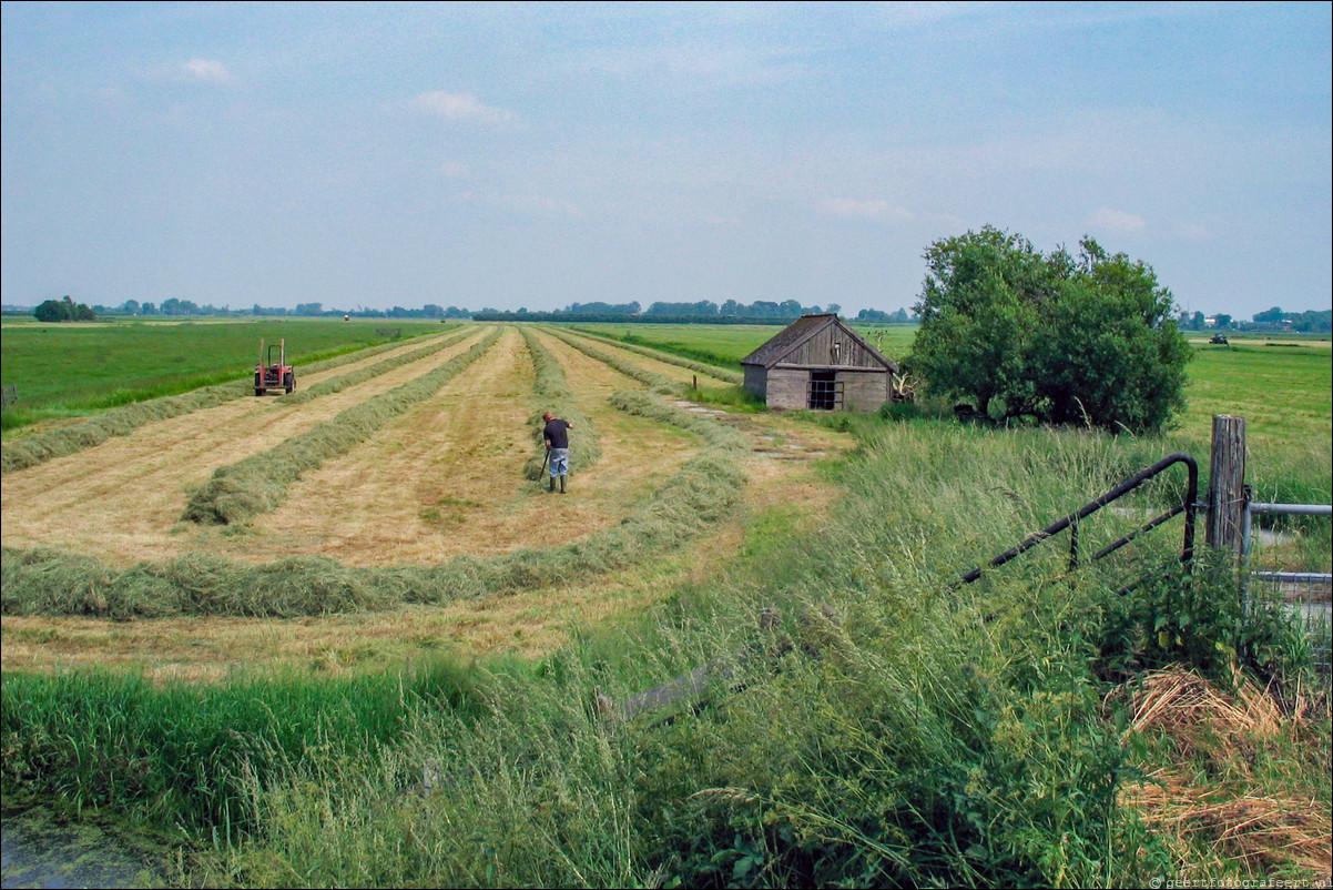 groene hart boer